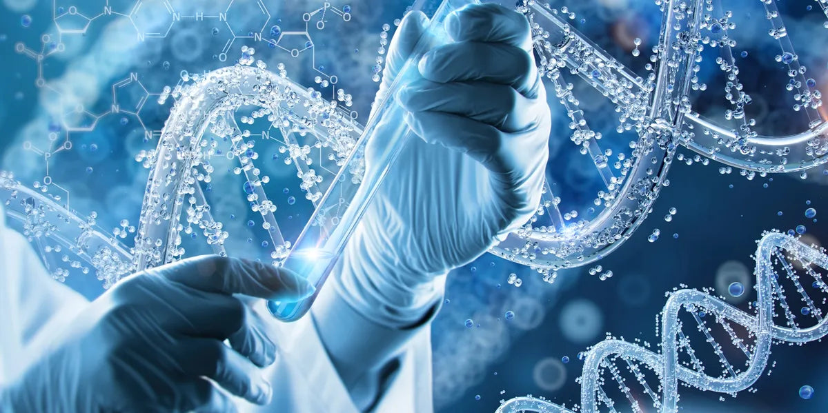 Cancer, Cardio, Metabolic Gene Panel Screening - 163 genes