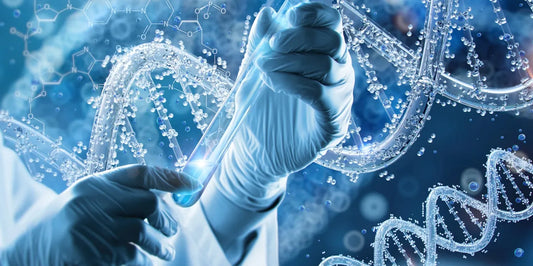 Cancer, Cardio, Metabolic Gene Panel Screening - 163 genes